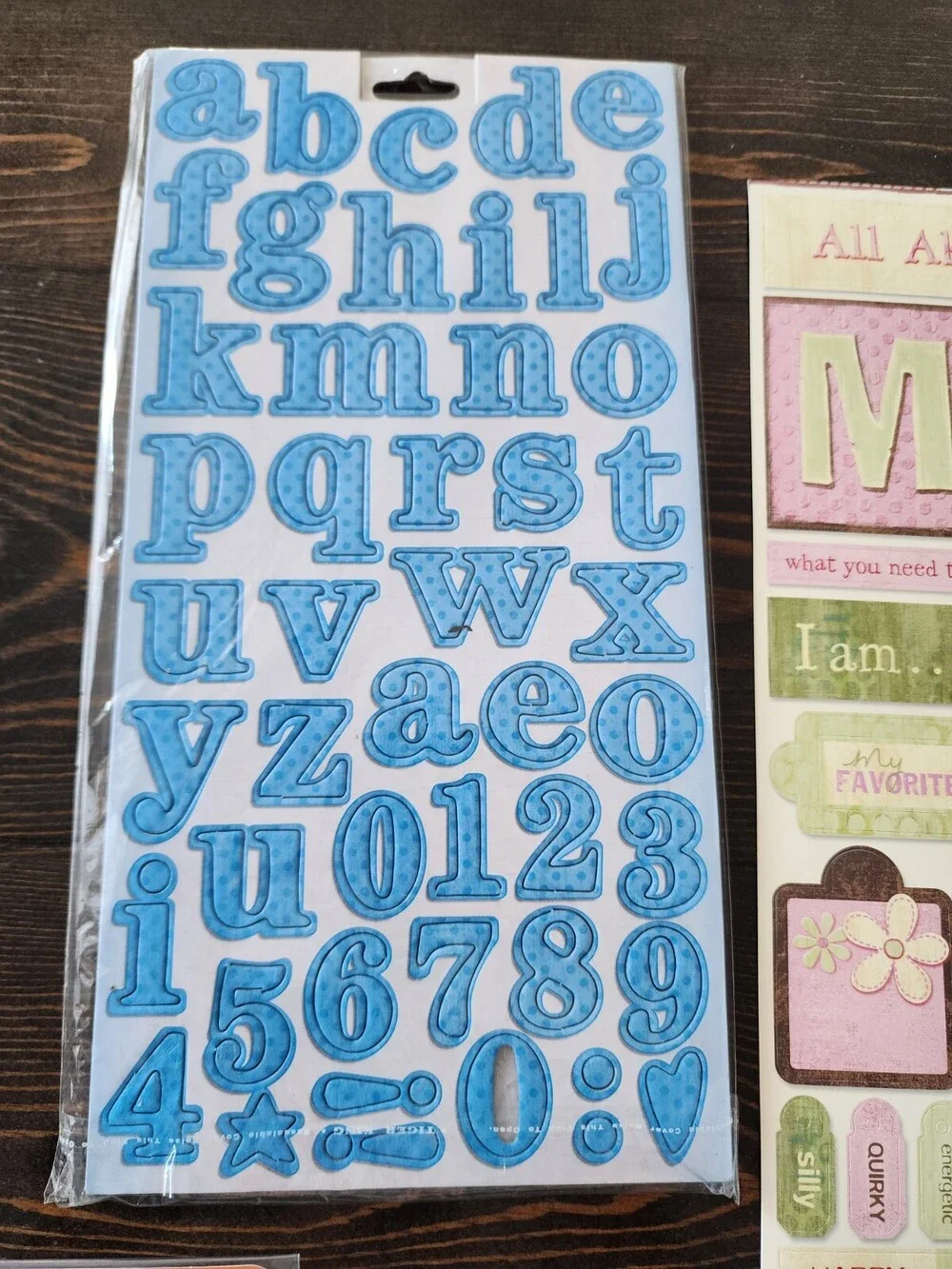 Scrapbooking Stickers Lot Jumbo Sheets Family Girls Sandylion New Retired #22